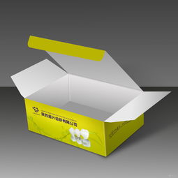 包装装潢印刷品的艺术与工艺 从设计到成品的完美呈现